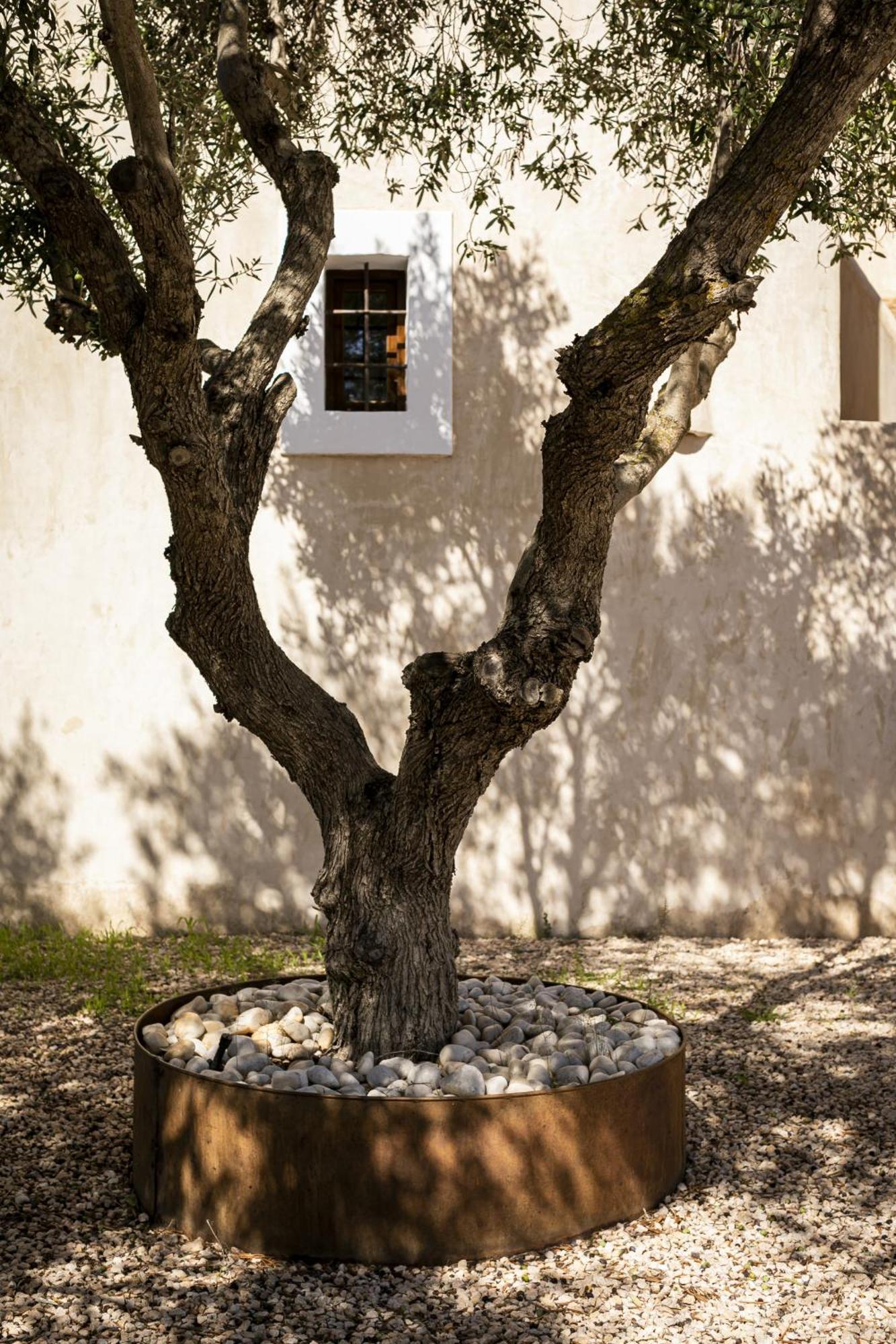 Can Noves - Villa De 4 Suites 35 Y 52 San Francisco Javier Εξωτερικό φωτογραφία